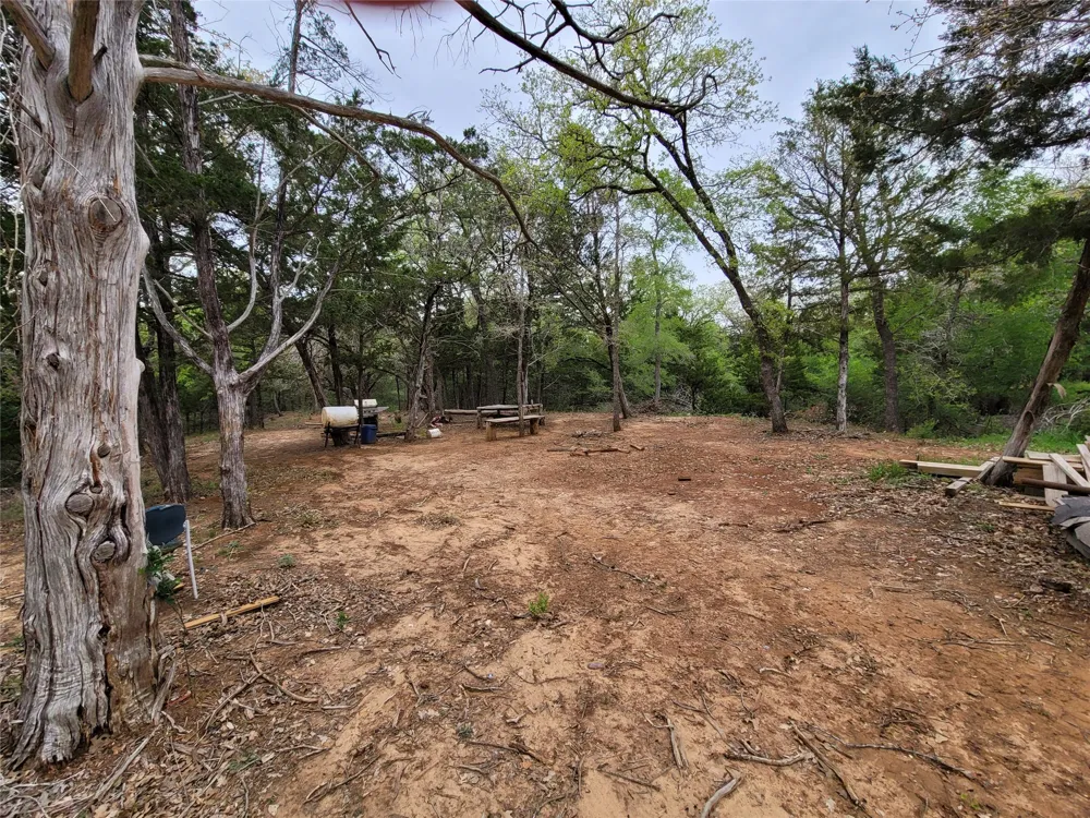 160 Arbor Hill Way Cedar Creek, TX 78612