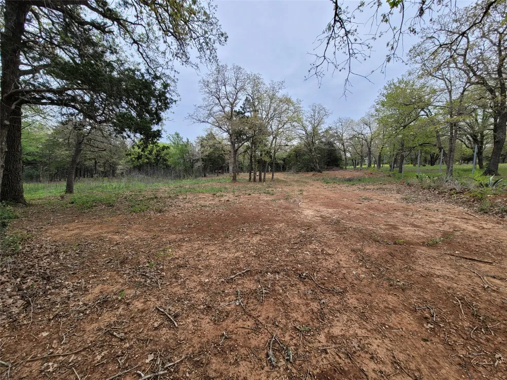 160 Arbor Hill Way Cedar Creek, TX 78612