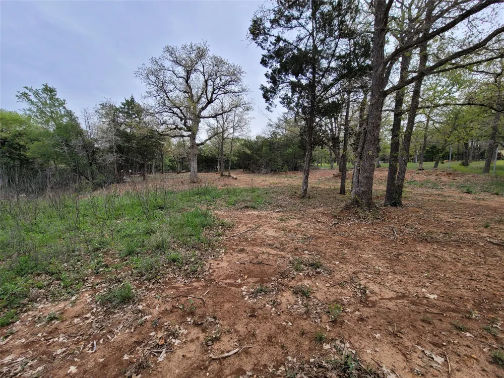 160 Arbor Hill Way Cedar Creek, TX 78612