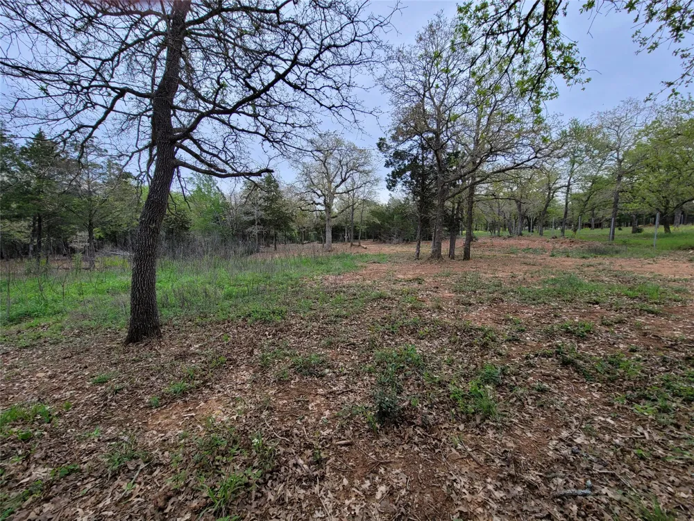 160 Arbor Hill Way Cedar Creek, TX 78612