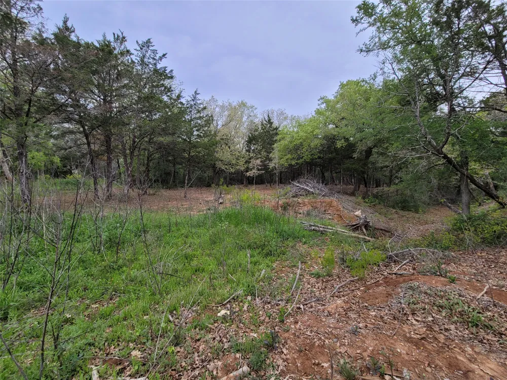 160 Arbor Hill Way Cedar Creek, TX 78612