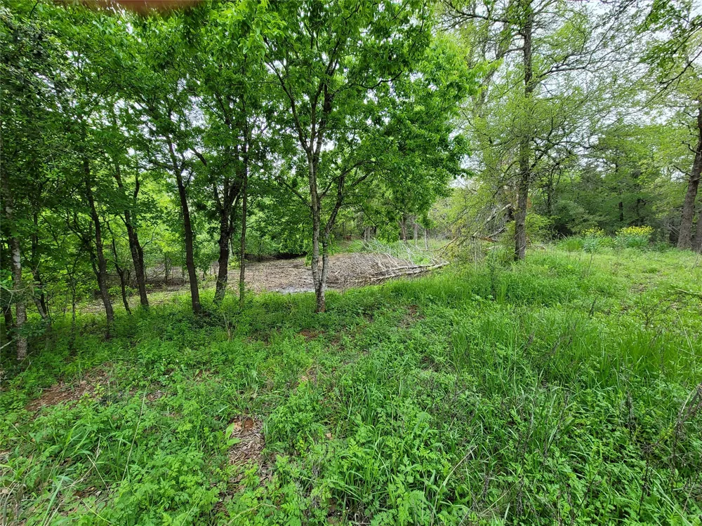 160 Arbor Hill Way Cedar Creek, TX 78612