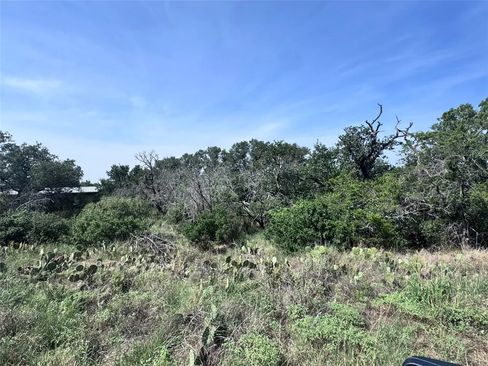 Hill Street Burnet, TX 78611
