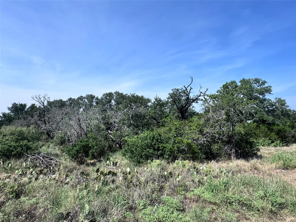 Hill Street Burnet, TX 78611