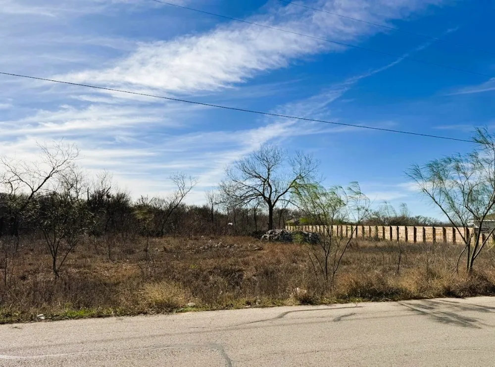 133 Blushing Drive Cedar Creek, TX 78612