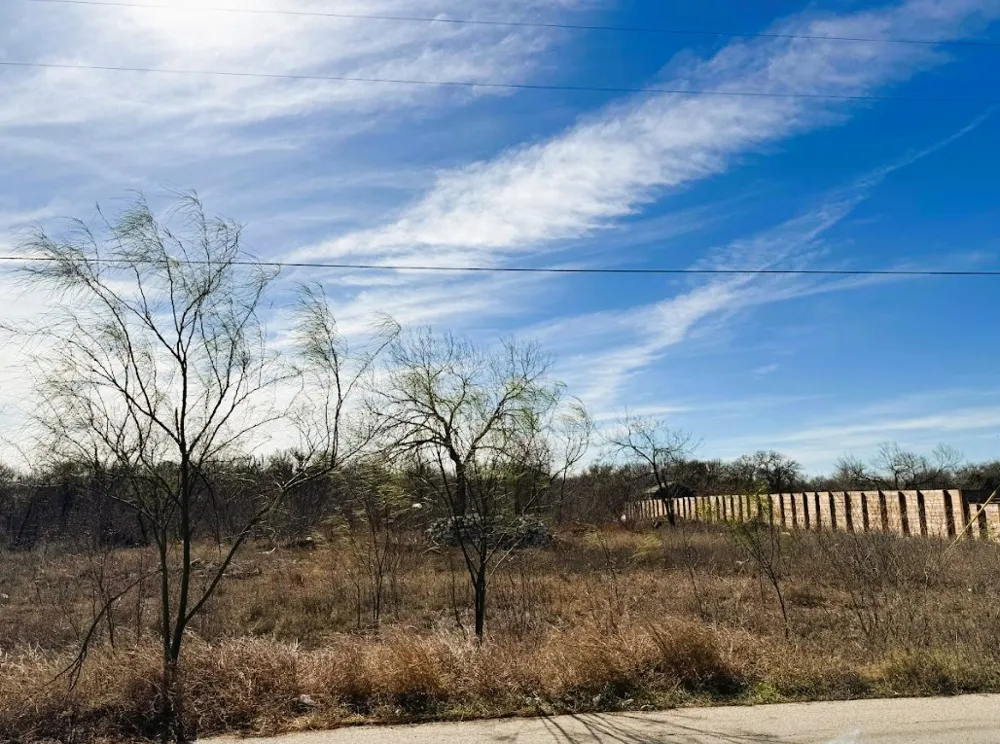 133 Blushing Drive Cedar Creek, TX 78612