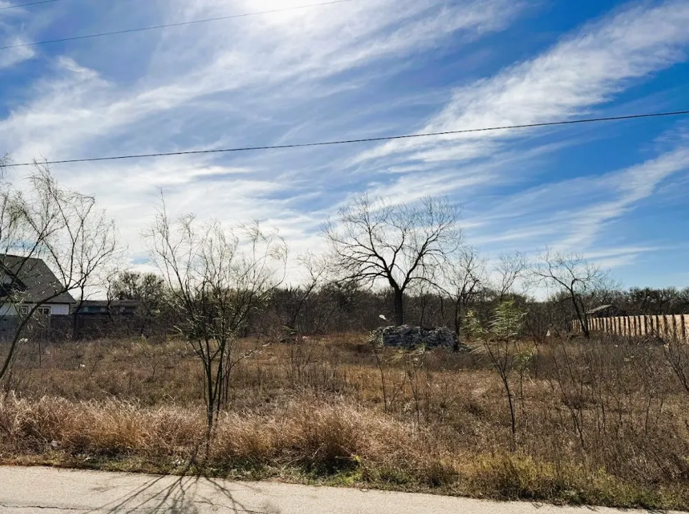 133 Blushing Drive Cedar Creek, TX 78612