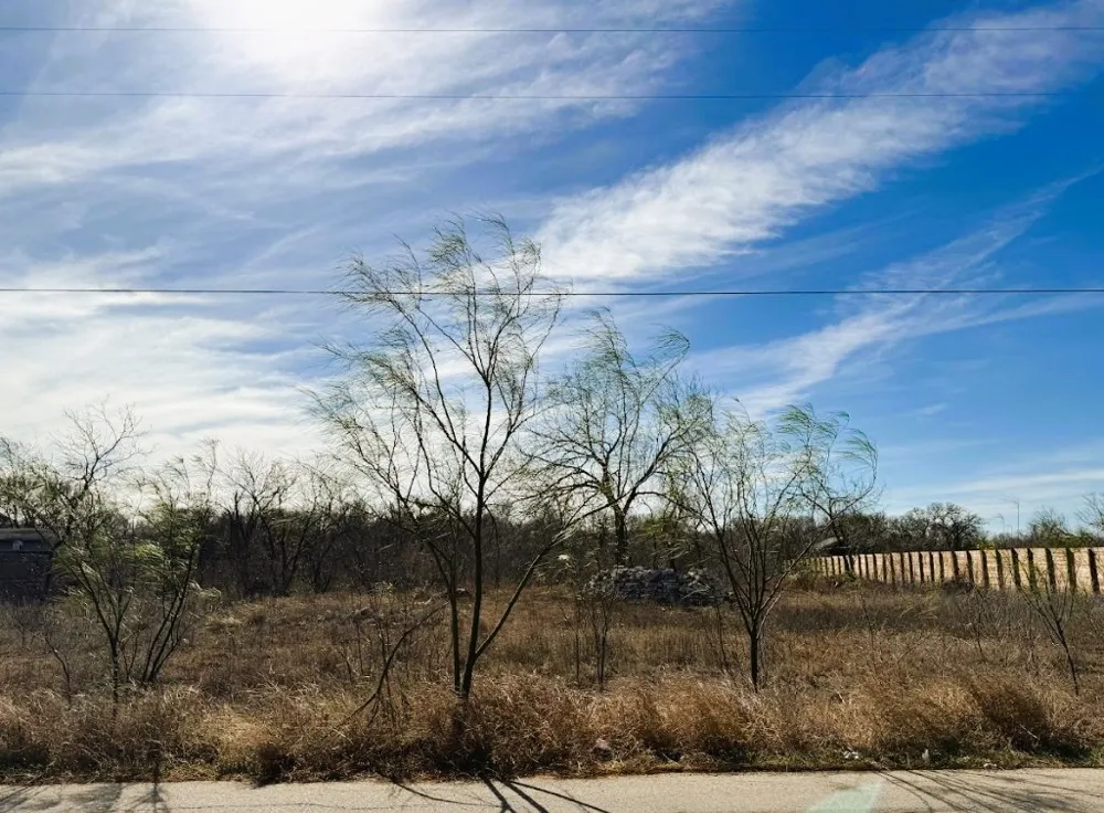 133 Blushing Drive Cedar Creek, TX 78612