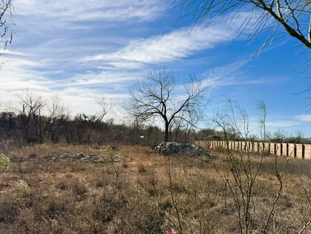 133 Blushing Drive Cedar Creek, TX 78612