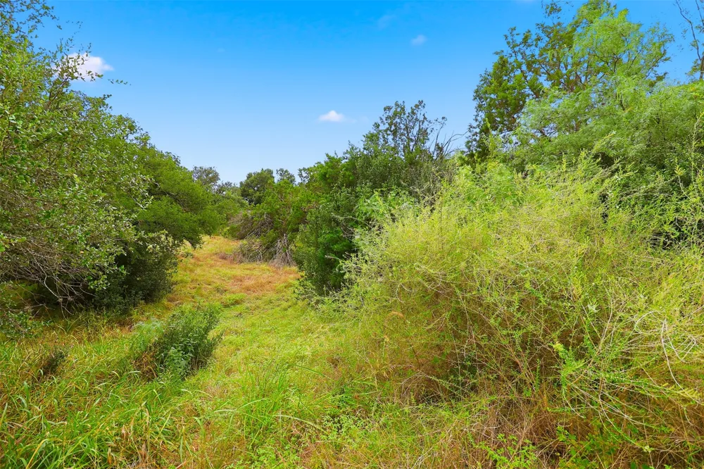 1904 Fault Line Drive Horseshoe Bay, TX 78657