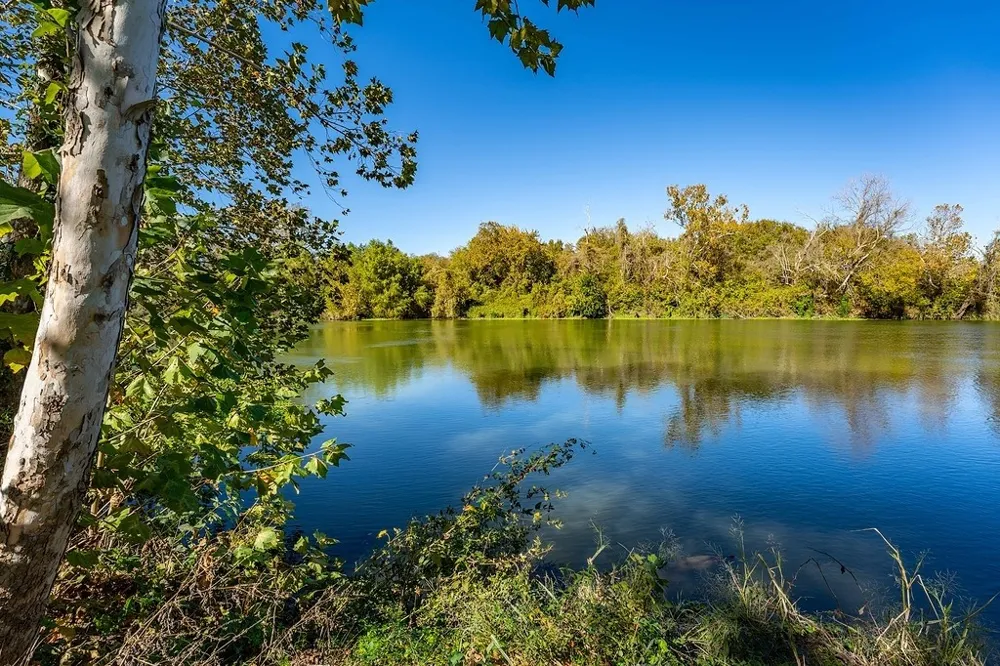 3 Fayette Shores Cove West Point, TX 78963