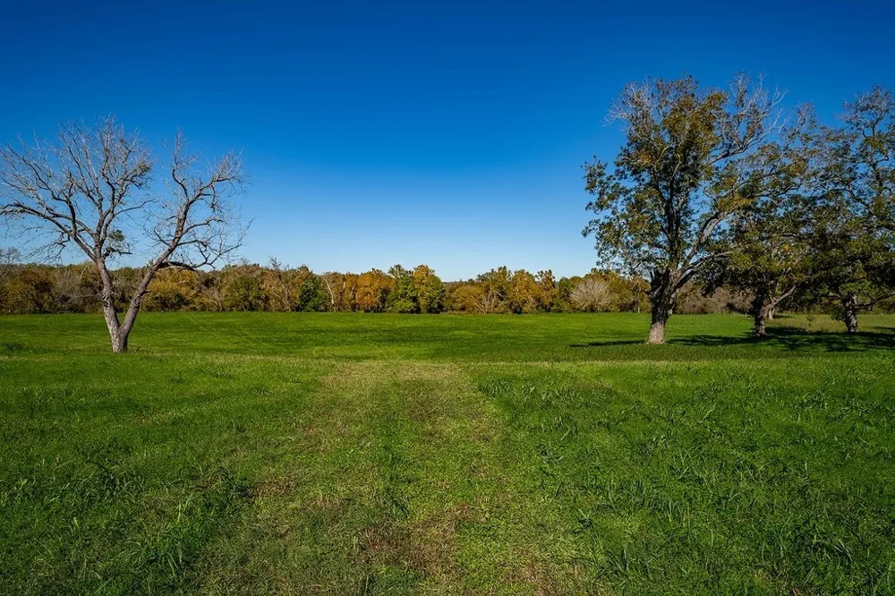 3 Fayette Shores Cove West Point, TX 78963