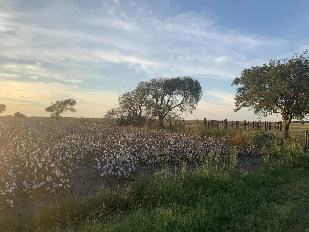 2 County Road 154 Georgetown, TX 78626