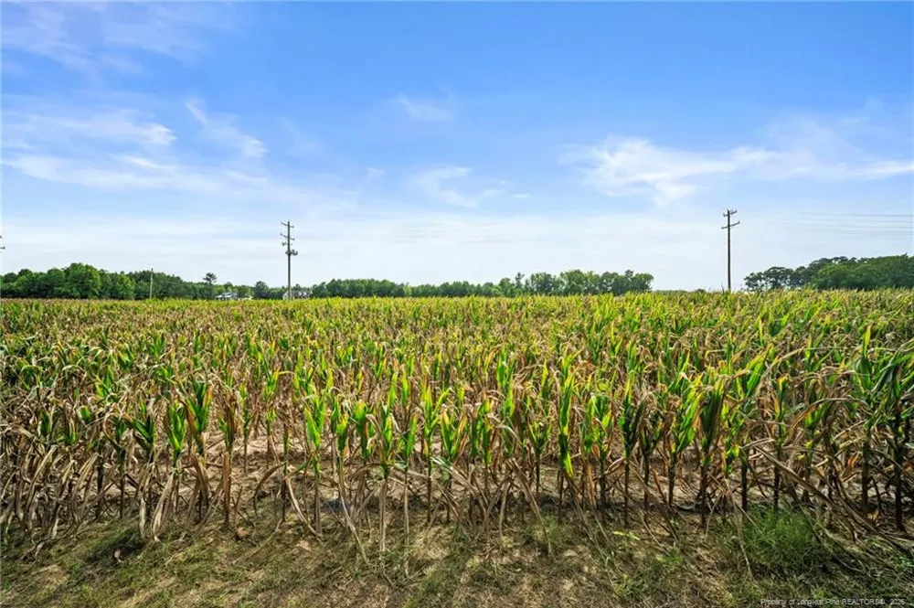 194 Pendergraft Road Bunnlevel, NC 28323