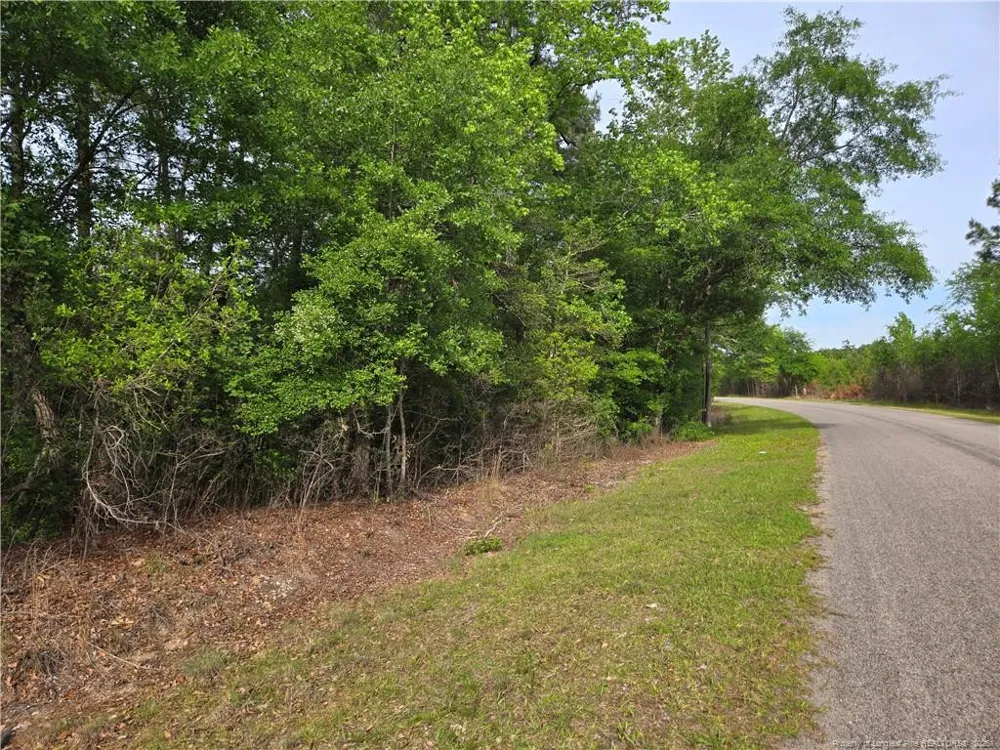 234 Circle Drive Vass, NC 28394