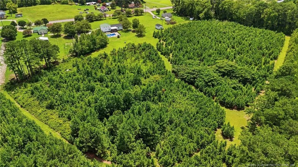 41 Lenors Drive Lumberton, NC 28360