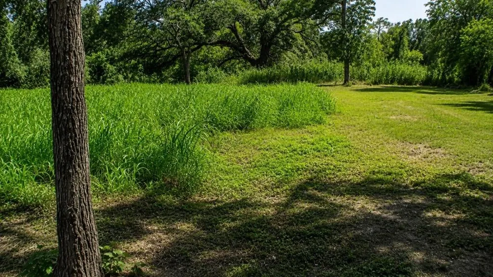 5 Sw Blk 1st Avenue Waelder, TX 78959