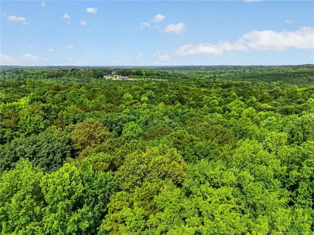 1285 Cool Springs Road Lillington, NC 27546
