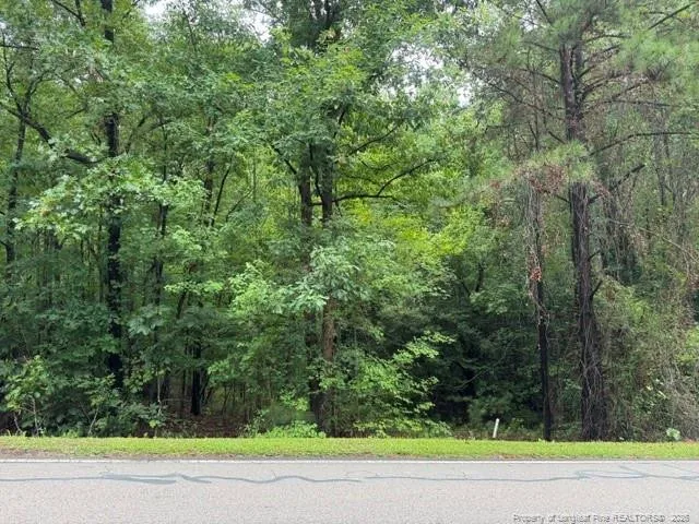 0 Carolina Way Sanford, NC 27332