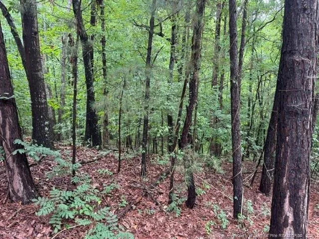 0 Carolina Way Sanford, NC 27332