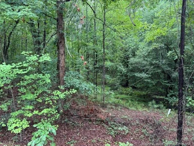 0 Carolina Way Sanford, NC 27332