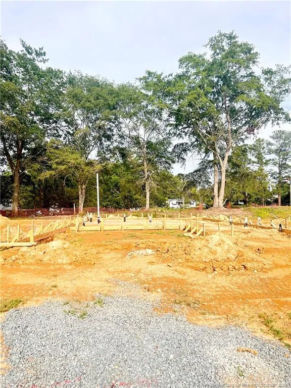 162 Stone Creek (Lot 19) Drive Coats, NC 27521