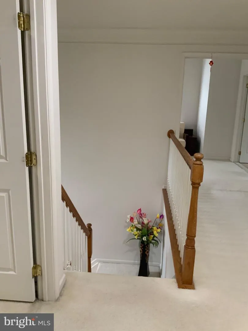 305 SPRINGFIELD AVENUE Egg Harbor Township, NJ 08234