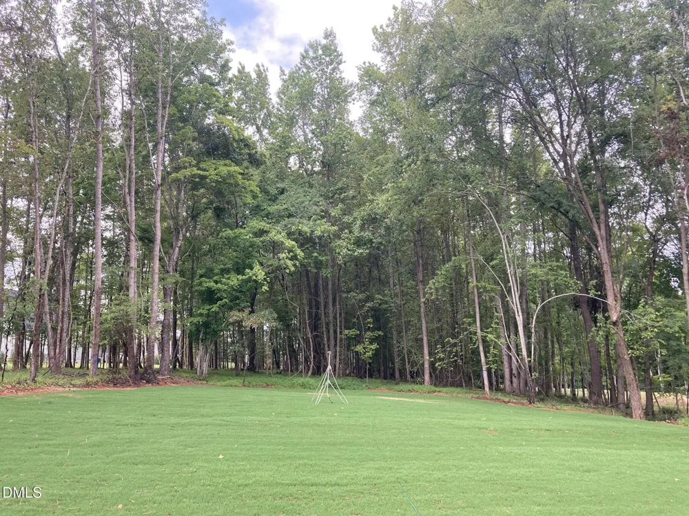 1225 Red Cedar Court Youngsville, NC 27596