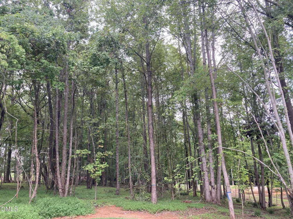1225 Red Cedar Court Youngsville, NC 27596