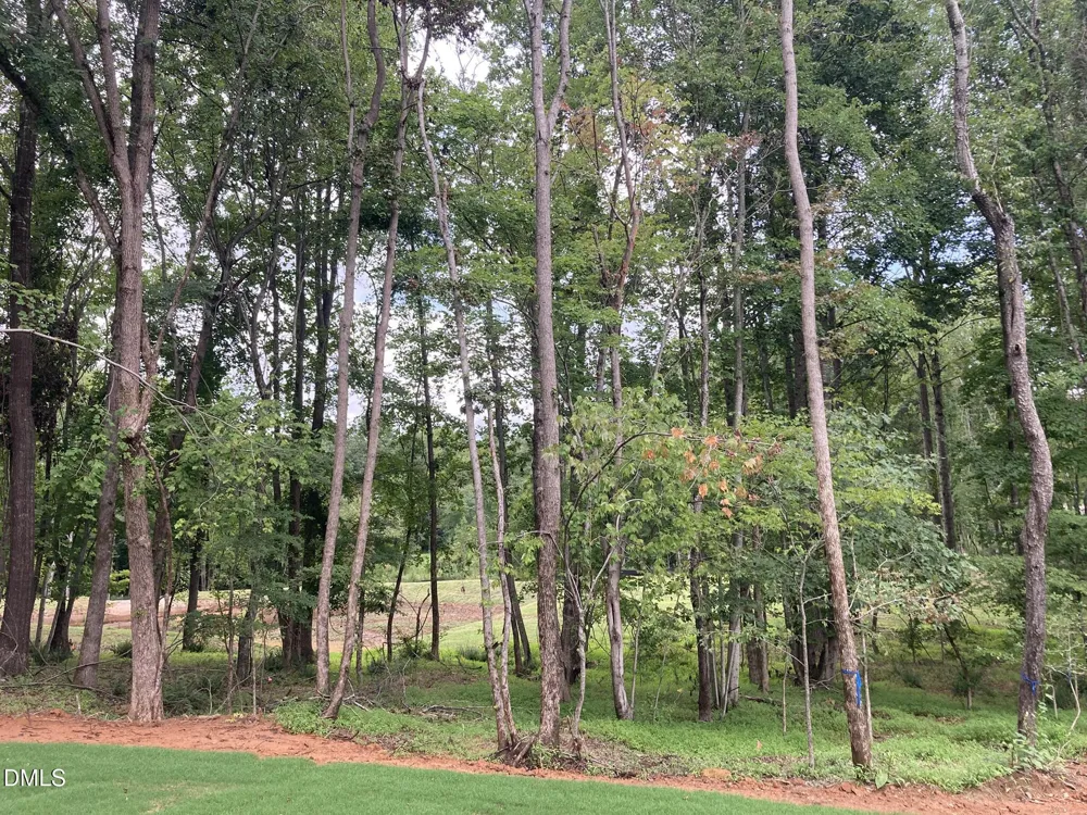 1225 Red Cedar Court Youngsville, NC 27596