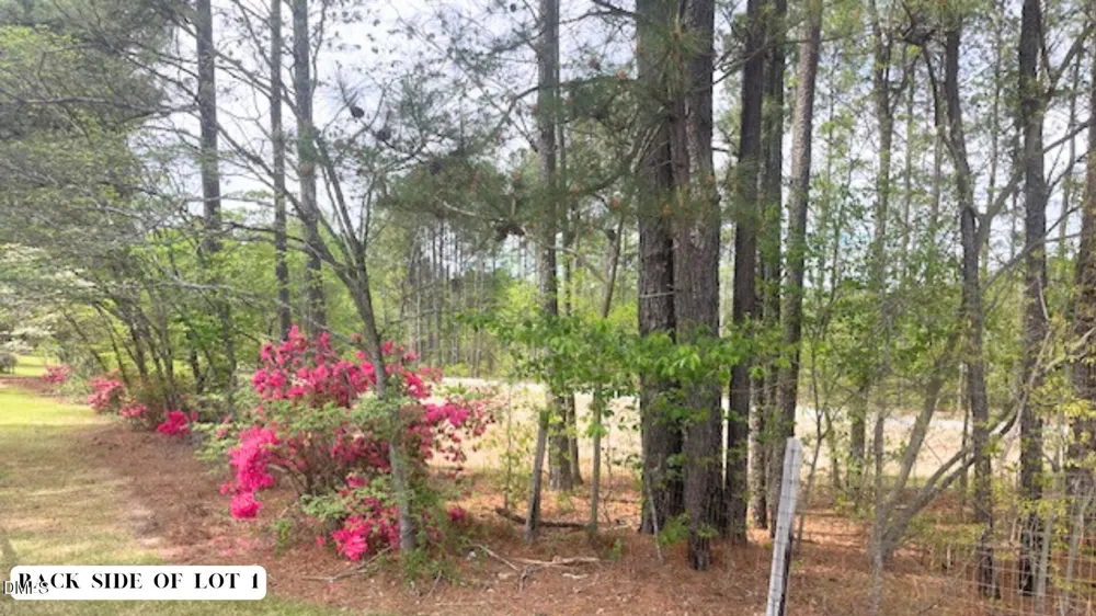 55 Weston Sky Ln Fuquay Varina, NC 27526