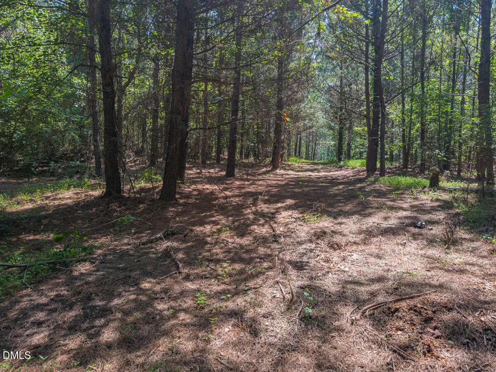 00 Cassam Road Bahama, NC 27503