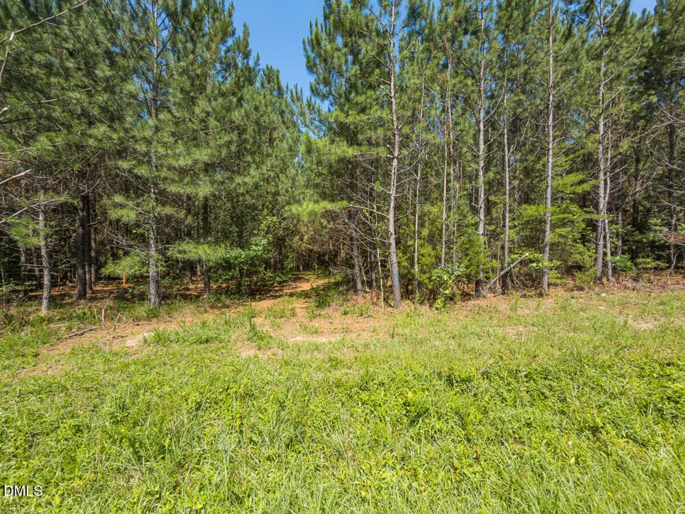 00 Cassam Road Bahama, NC 27503