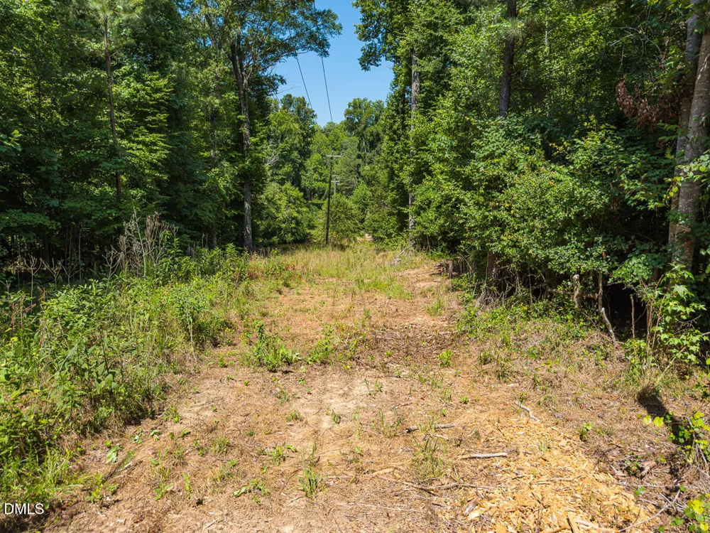 00 Cassam Road Bahama, NC 27503