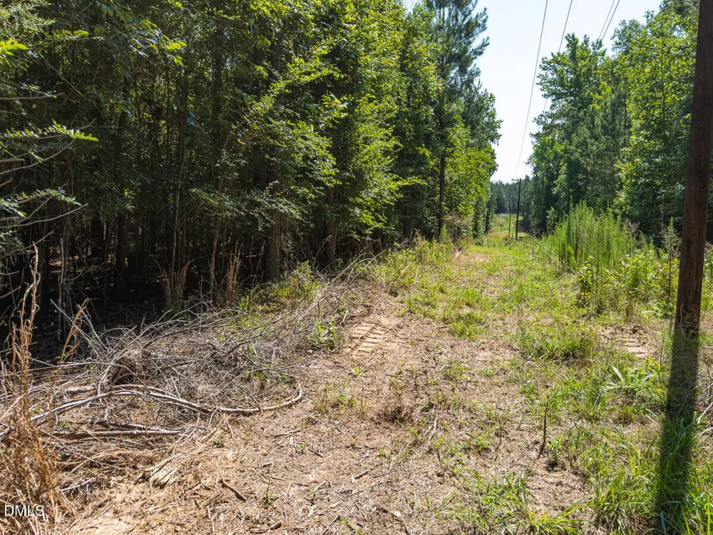 00 Cassam Road Bahama, NC 27503