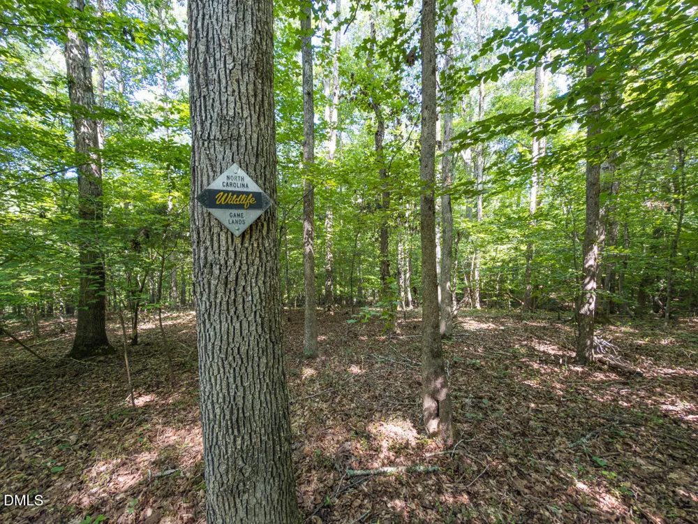 00 Cassam Road Bahama, NC 27503