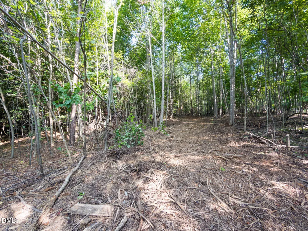 00 Cassam Road Bahama, NC 27503