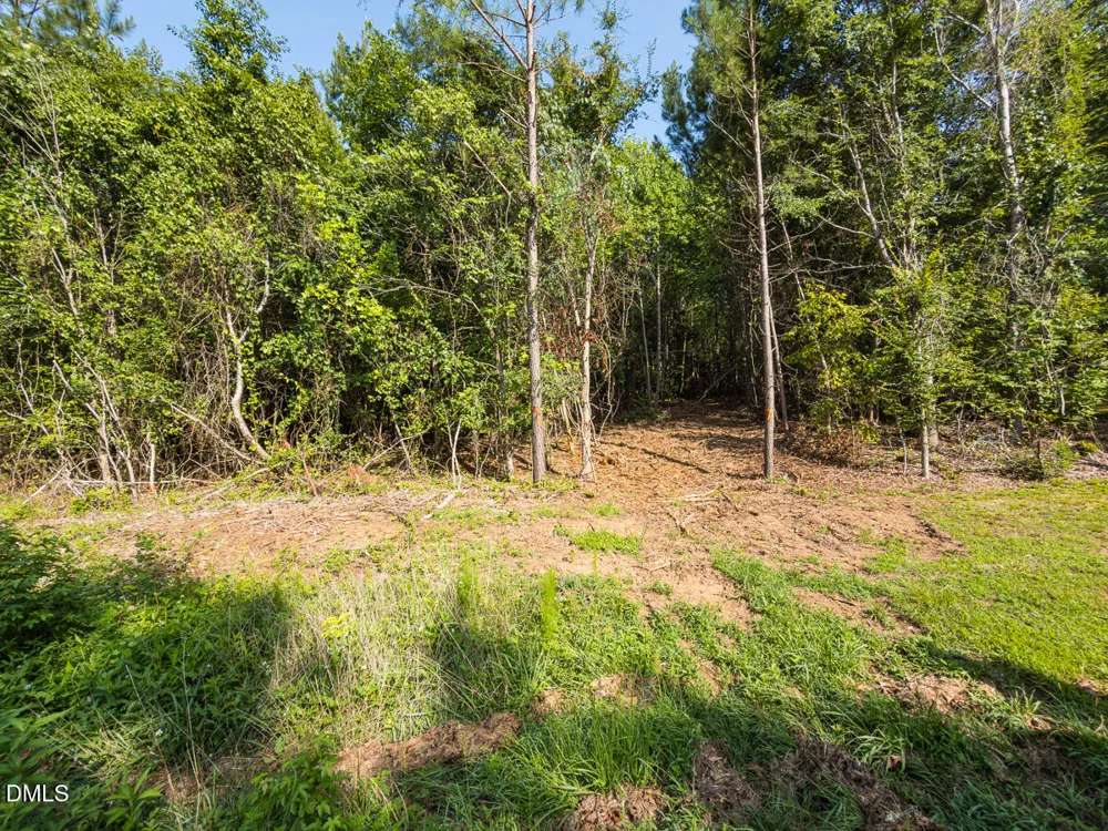 00 Cassam Road Bahama, NC 27503
