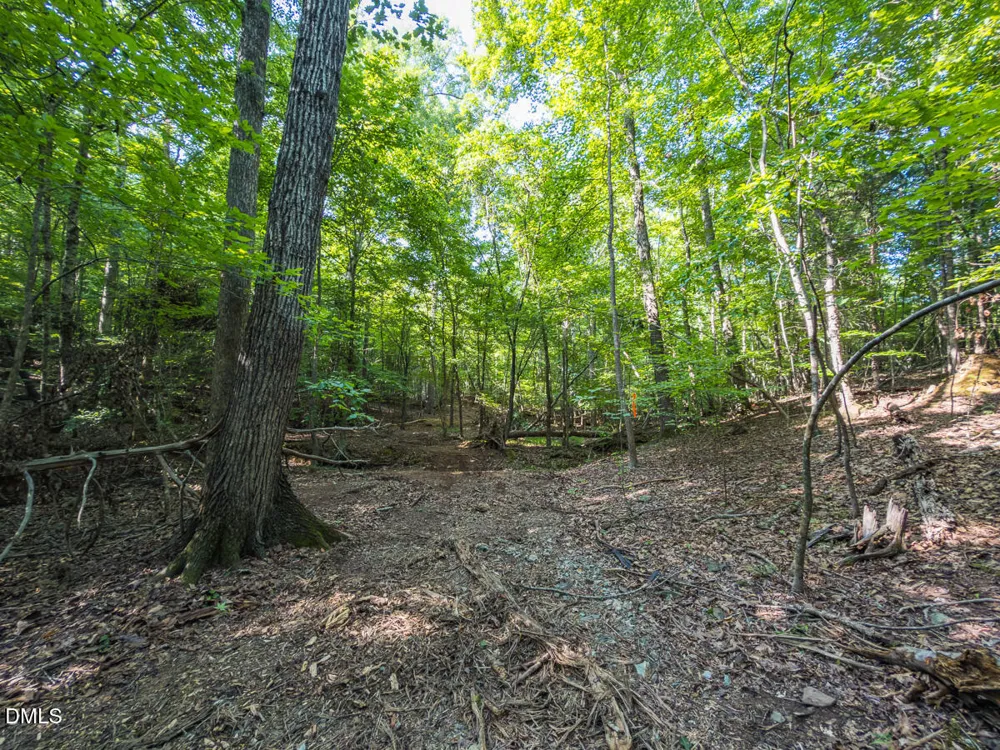 00 Cassam Road Bahama, NC 27503