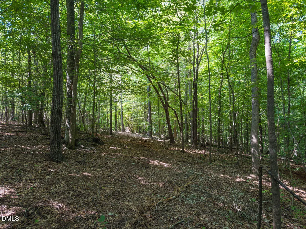 00 Cassam Road Bahama, NC 27503