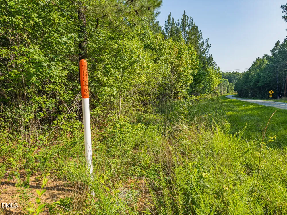 00 Cassam Road Bahama, NC 27503