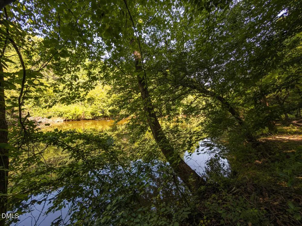 00 Cassam Road Bahama, NC 27503
