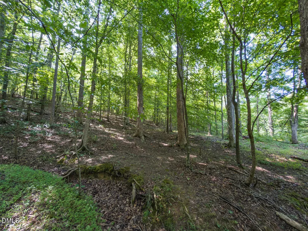 00 Cassam Road Bahama, NC 27503