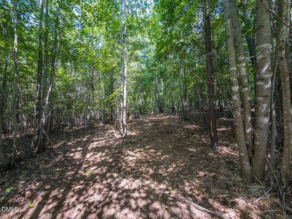00 Cassam Road Bahama, NC 27503