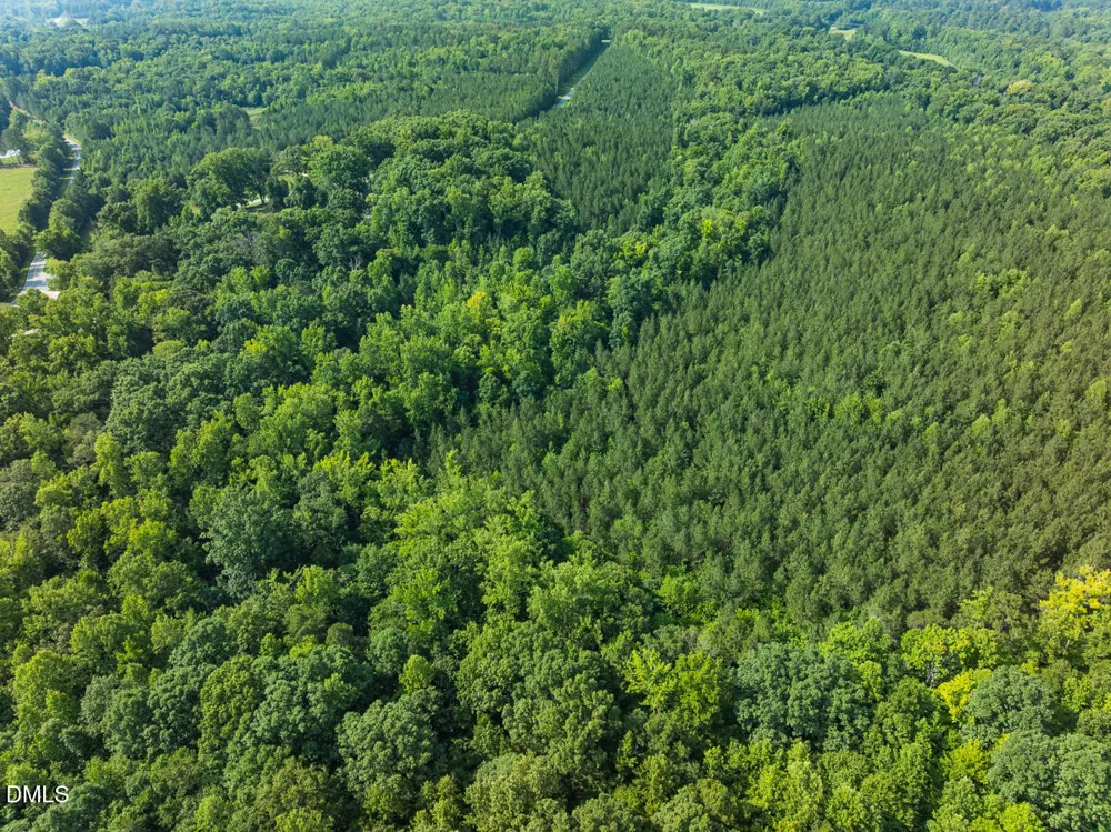 00 Cassam Road Bahama, NC 27503