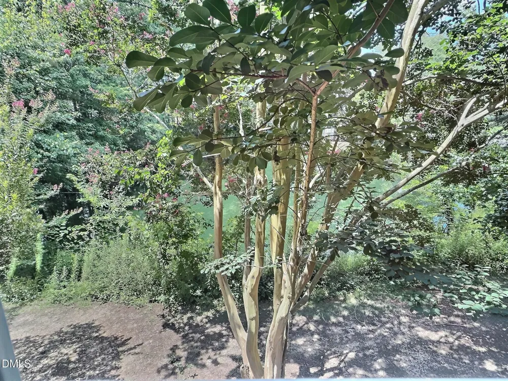 109 Weatherhill Point Carrboro, NC 27510
