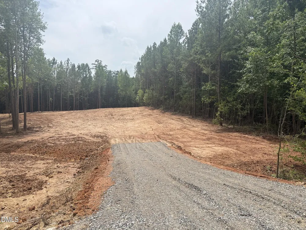 2346 Peachtree Hills Road Spring Hope, NC 27882