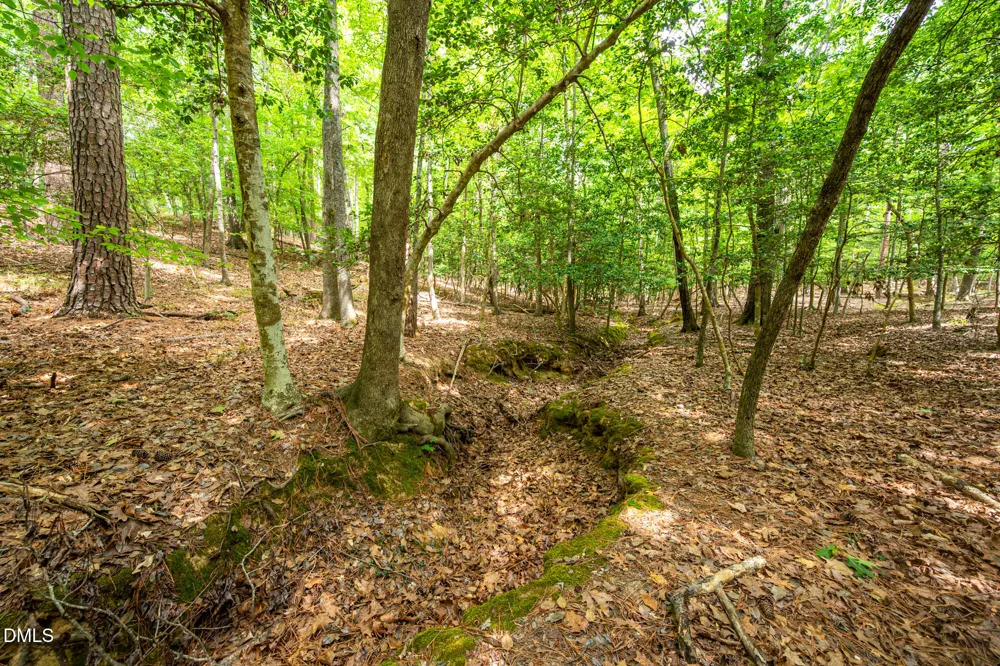 000 The Glades Chapel Hill, NC 27517