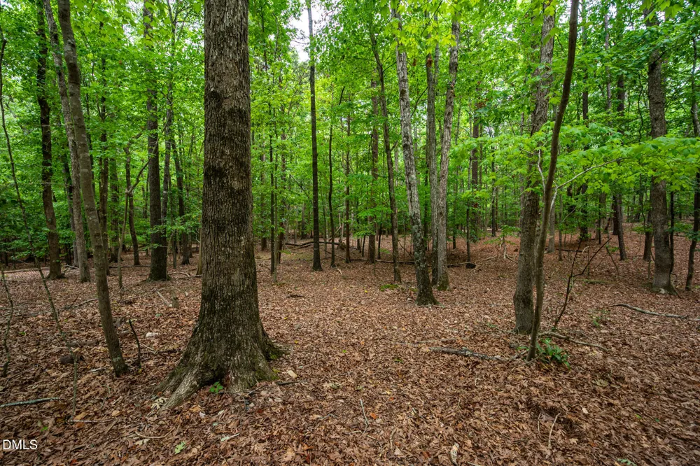 000 The Glades Chapel Hill, NC 27517
