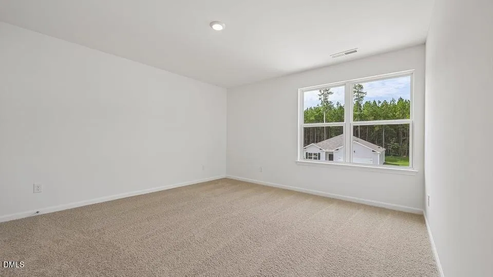 78 Richmond Run Stem, NC 27581